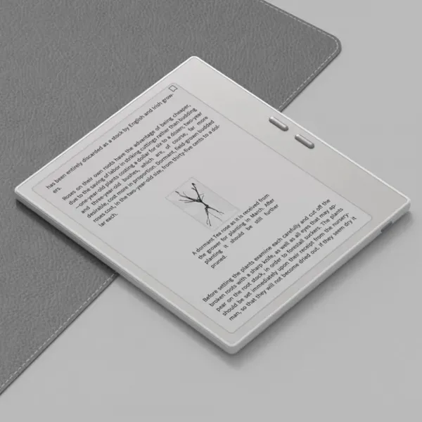 Електронна книга Onyx Boox Go 7 (White) (Standard)