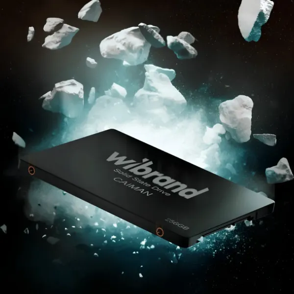 SSD накопичувач Wibrand Spider 480GB 2.5 (WI2.5SSD/SP480GBST)