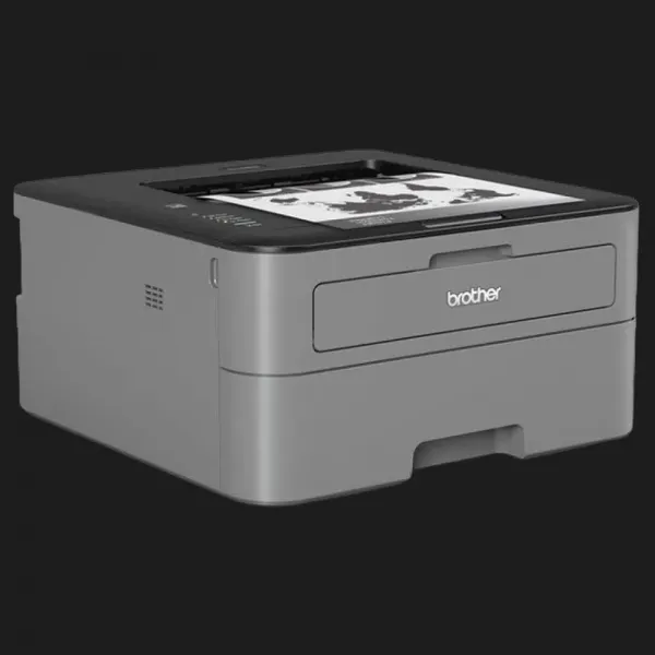 Принтер лазерний Brother HL-L2300D (Gray) (HLL2300DR1)
